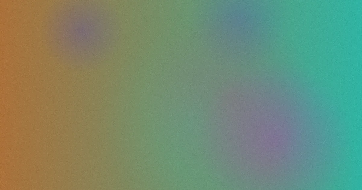 美女wwW推荐：新手这样选